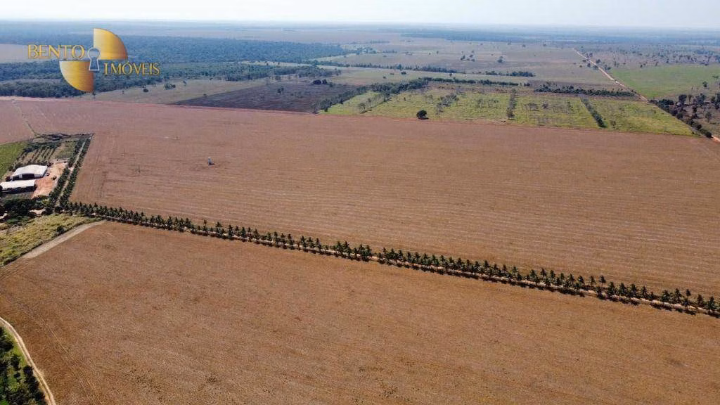Fazenda de 2.100 ha em São José do Rio Claro, MT