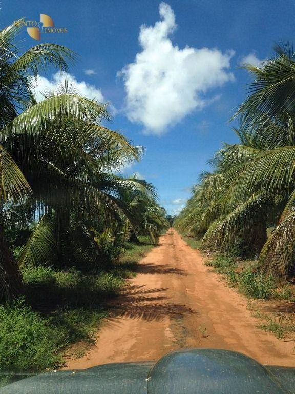 Fazenda de 2.100 ha em São José do Rio Claro, MT