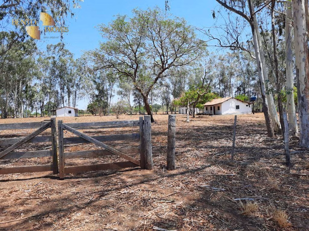 Fazenda de 2.100 ha em São José do Rio Claro, MT