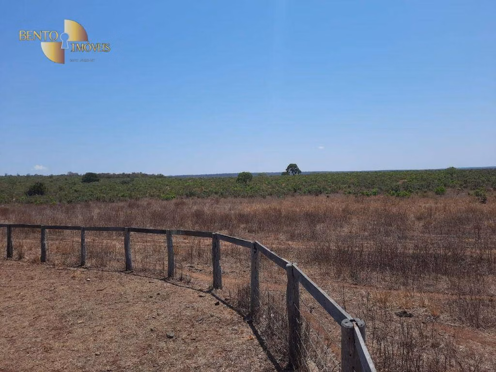 Fazenda de 2.100 ha em São José do Rio Claro, MT