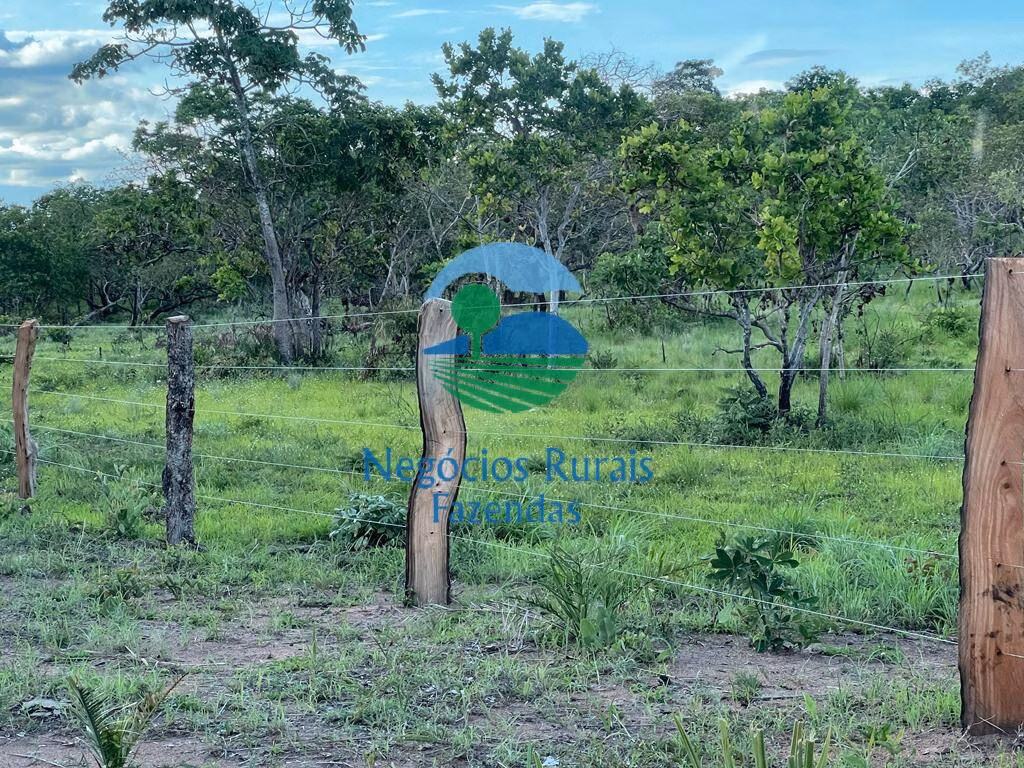 Fazenda de 4.840 ha em Taipas do Tocantins, TO
