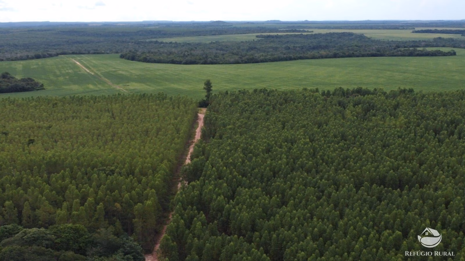 Fazenda de 8.100 ha em Goiatins, TO