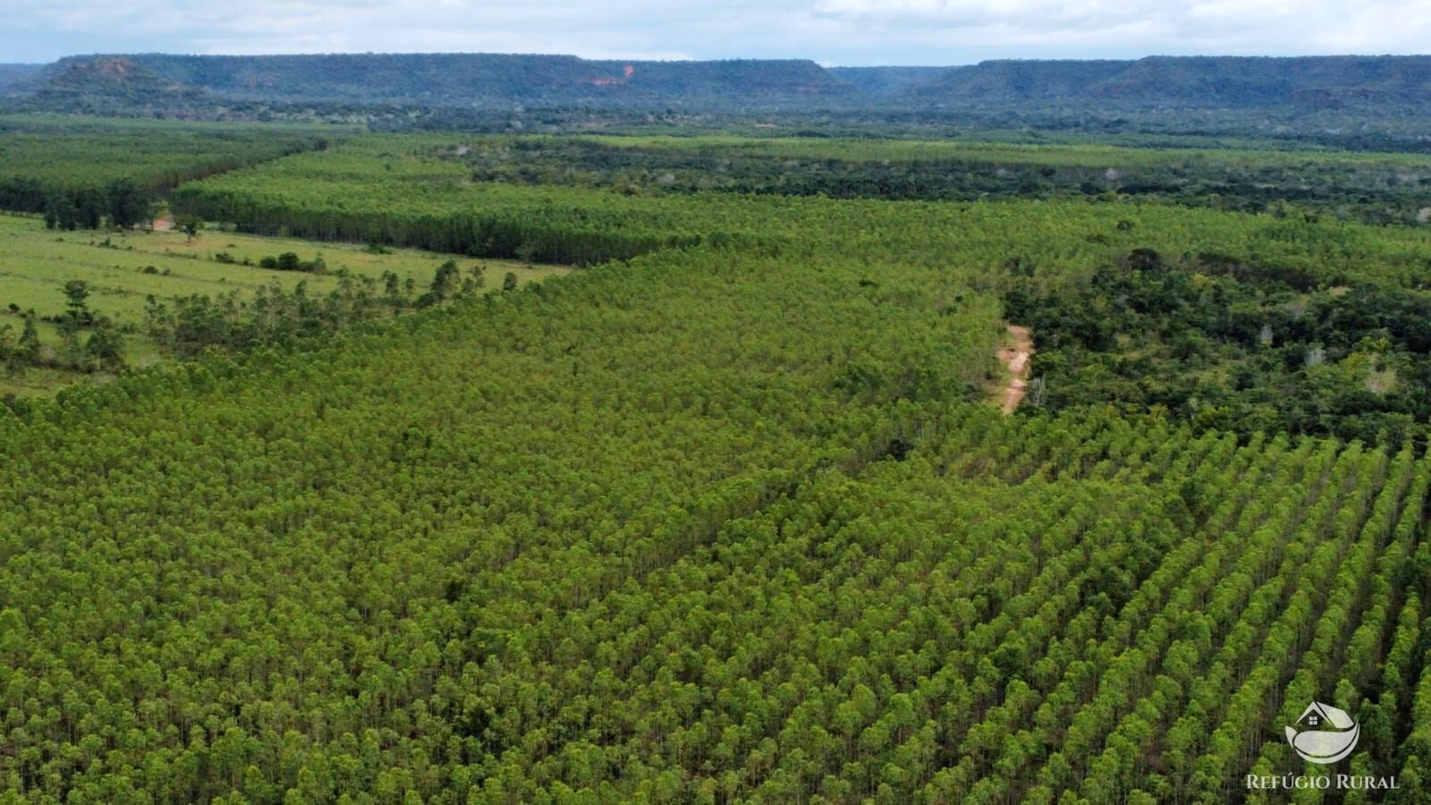 Fazenda de 8.100 ha em Goiatins, TO