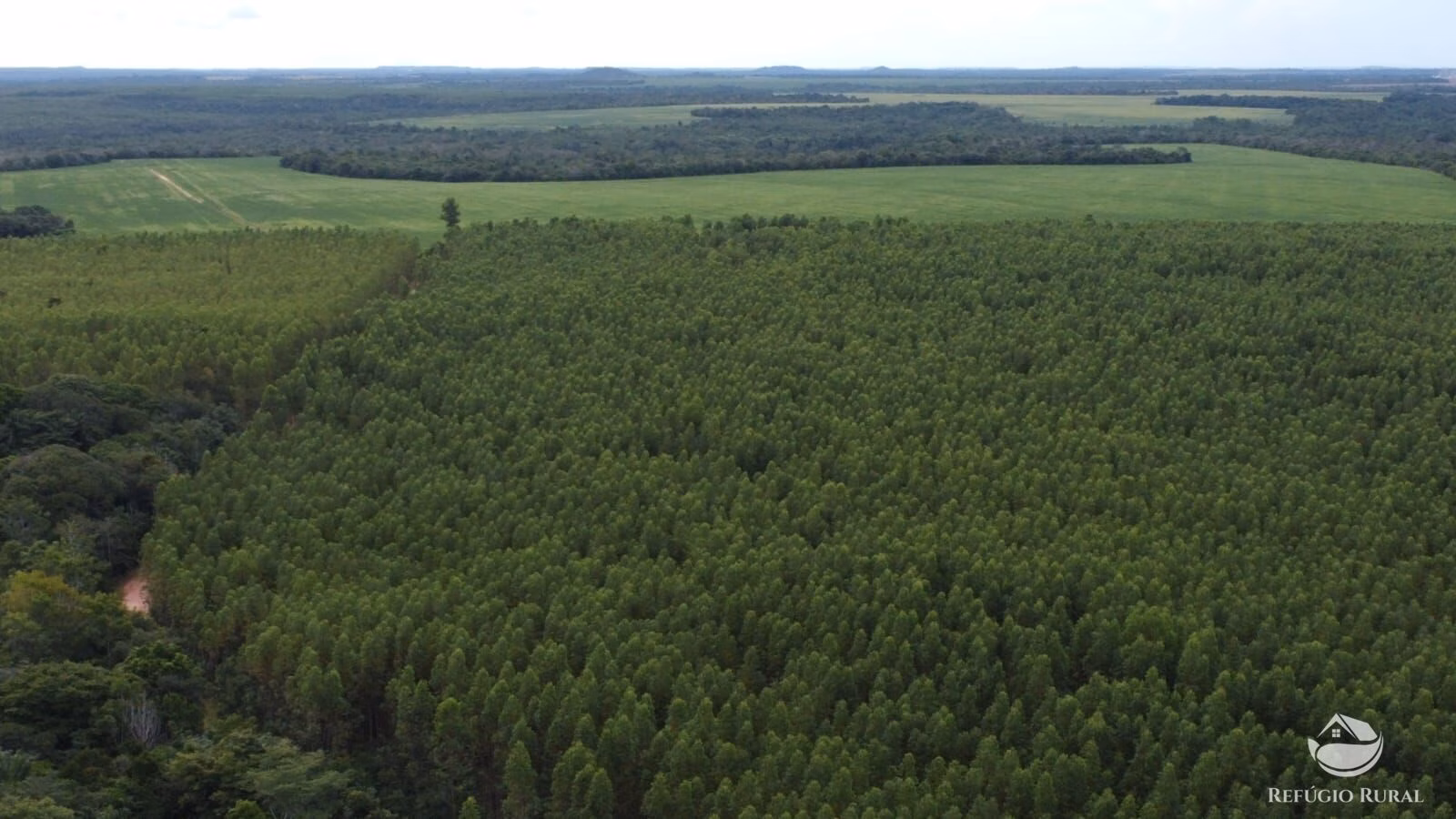 Farm of 20.016 acres in Goiatins, TO, Brazil