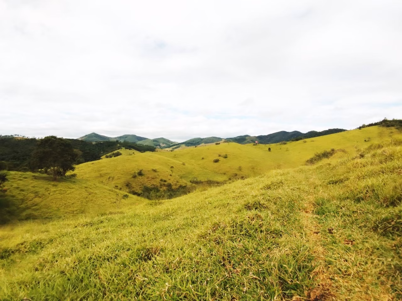 Fazenda de 486 ha em Taubaté, SP