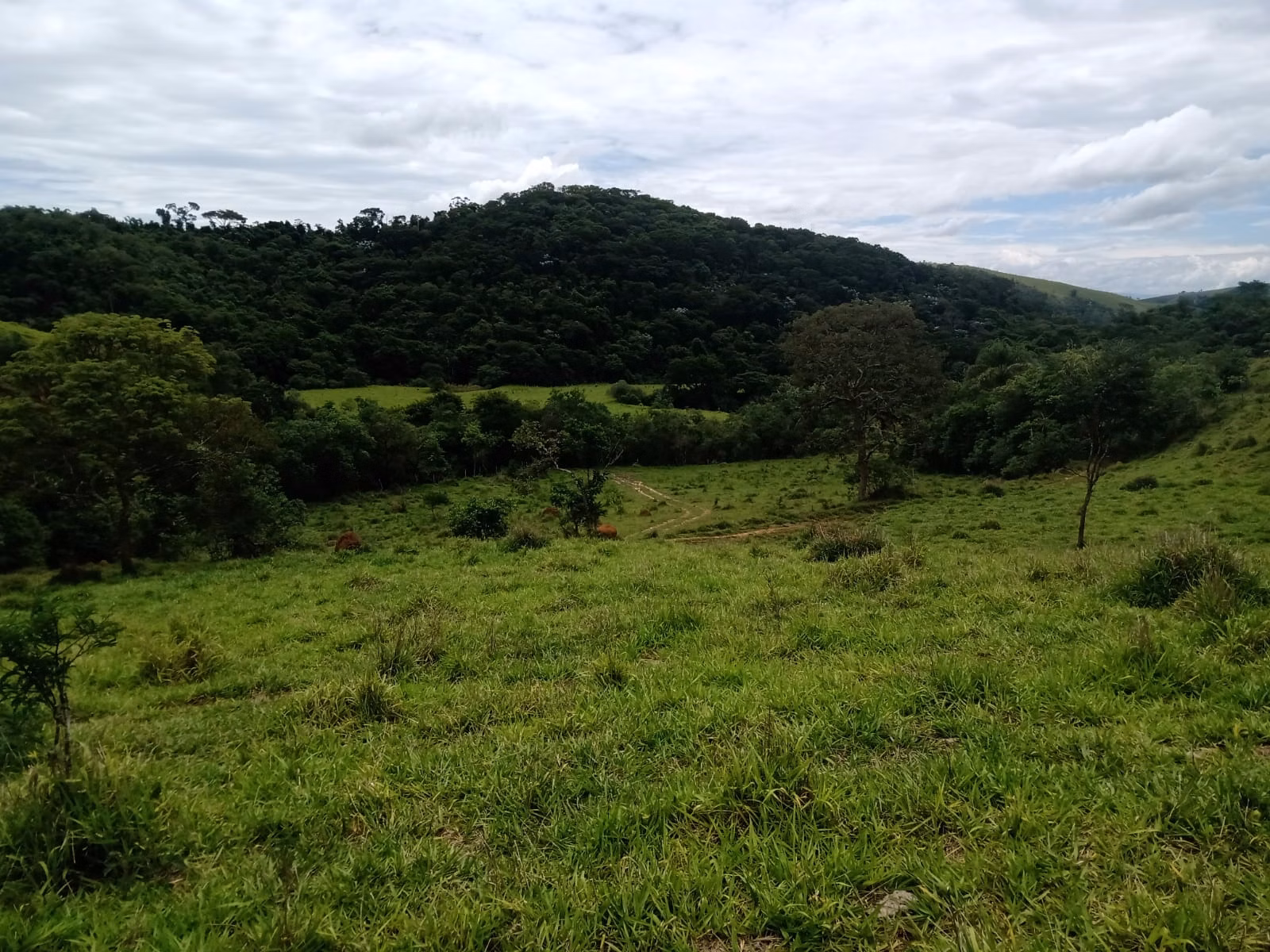 Fazenda de 486 ha em Taubaté, SP