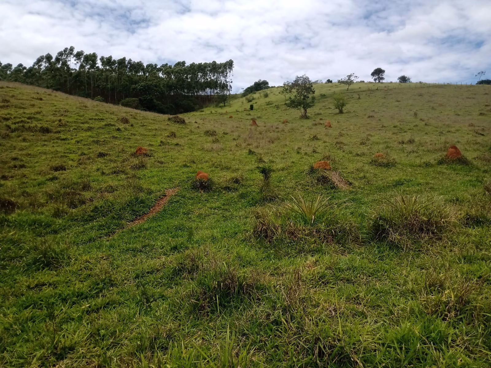 Fazenda de 486 ha em Taubaté, SP