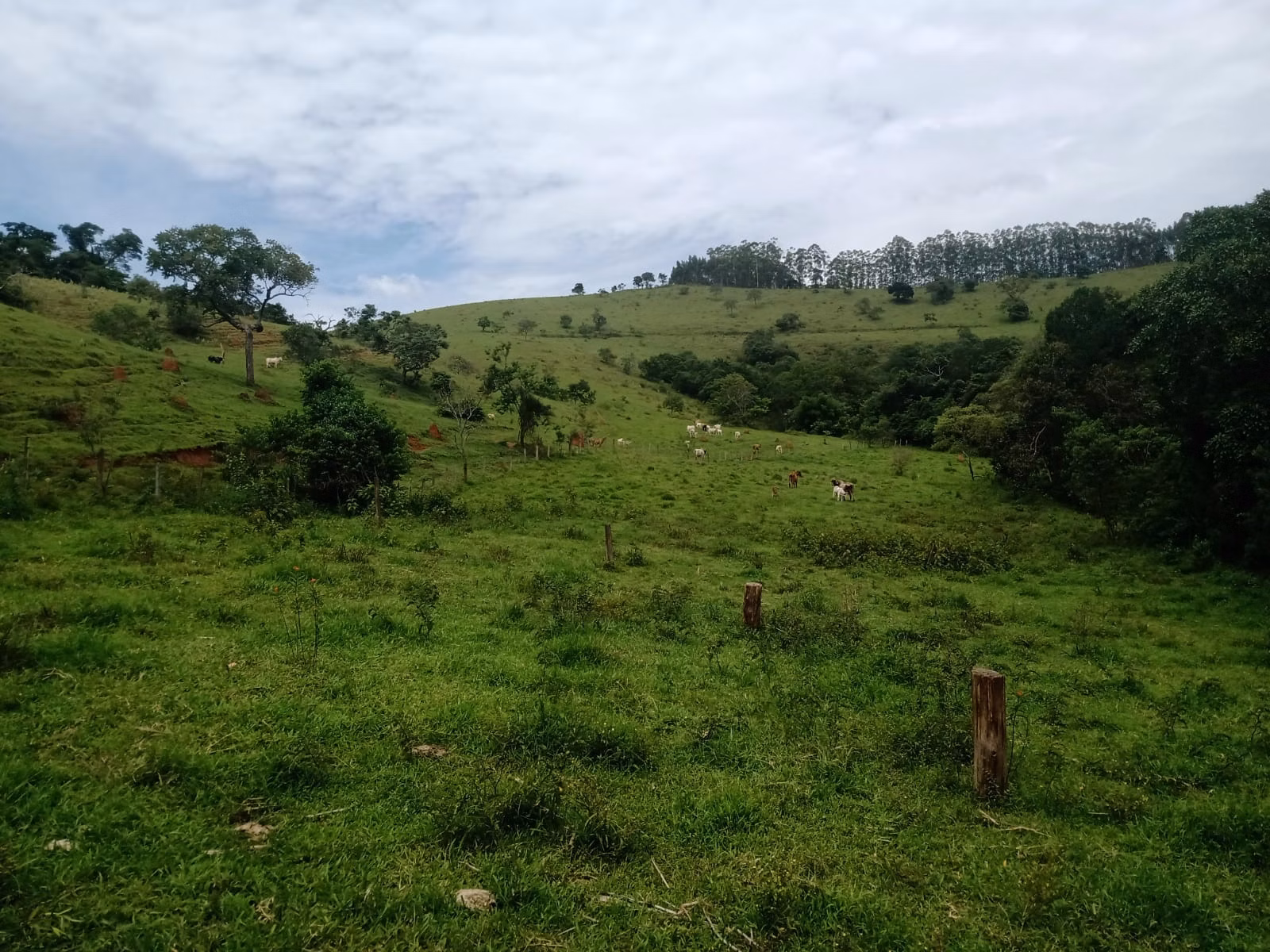 Fazenda de 486 ha em Taubaté, SP