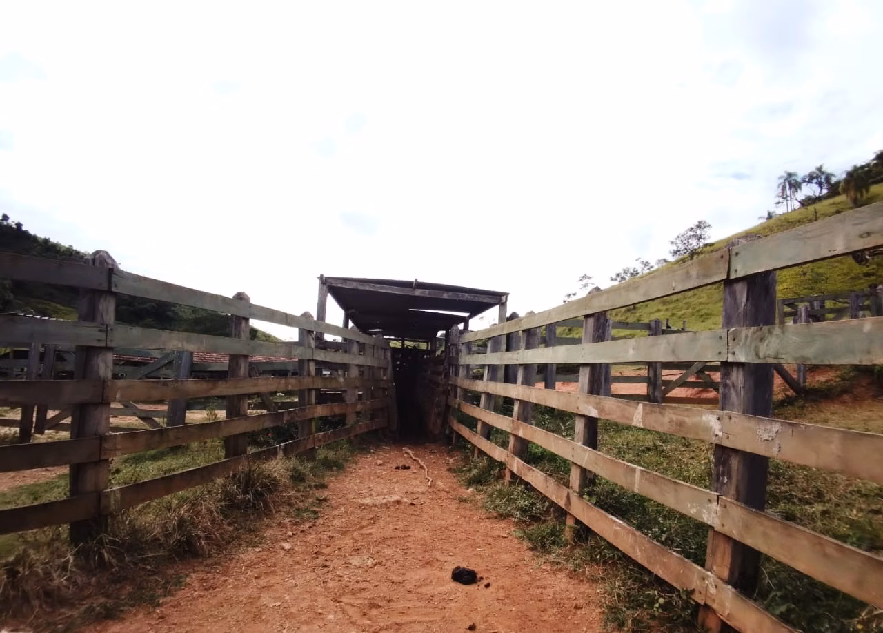 Fazenda de 486 ha em Taubaté, SP