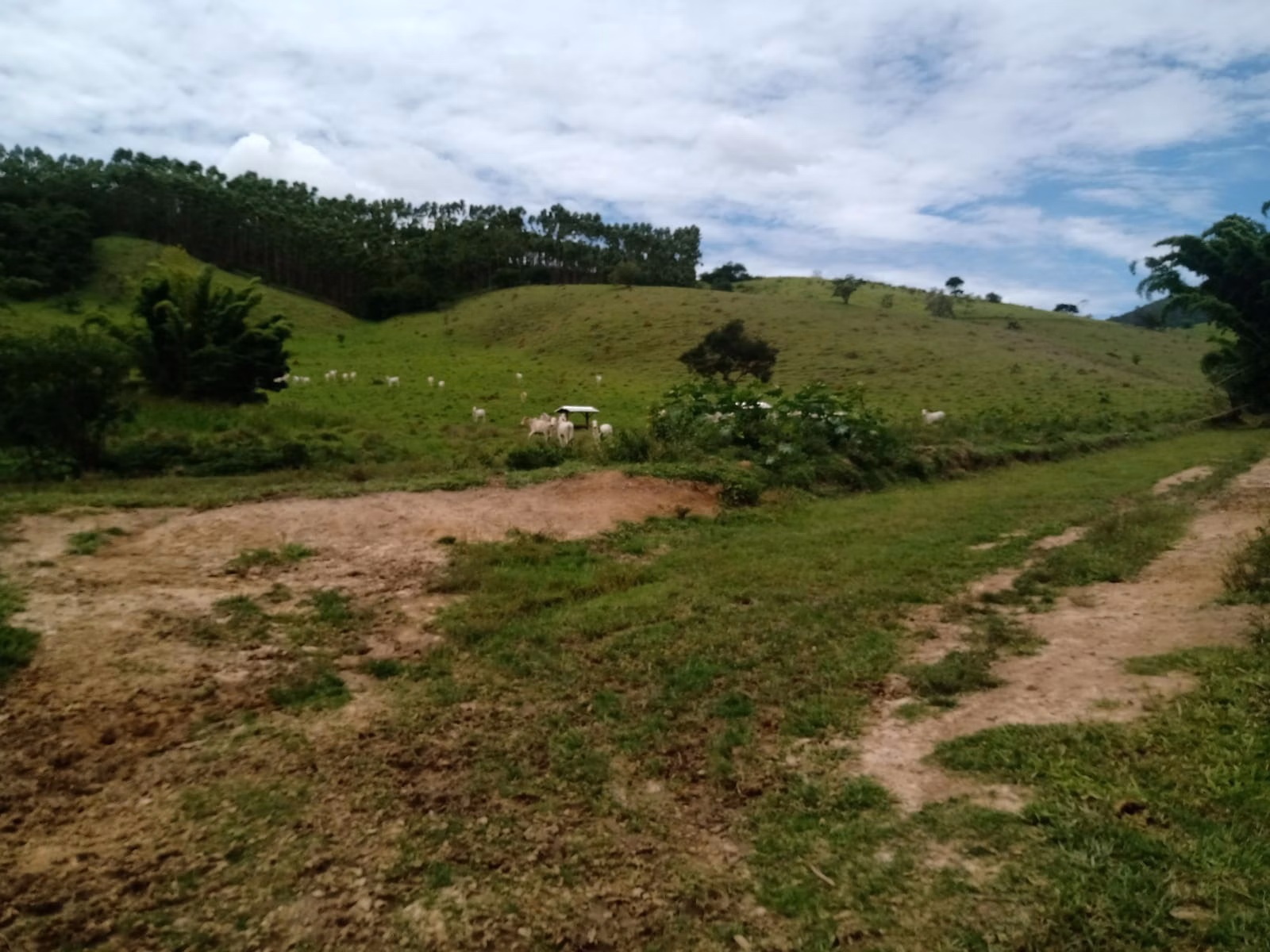 Fazenda de 486 ha em Taubaté, SP
