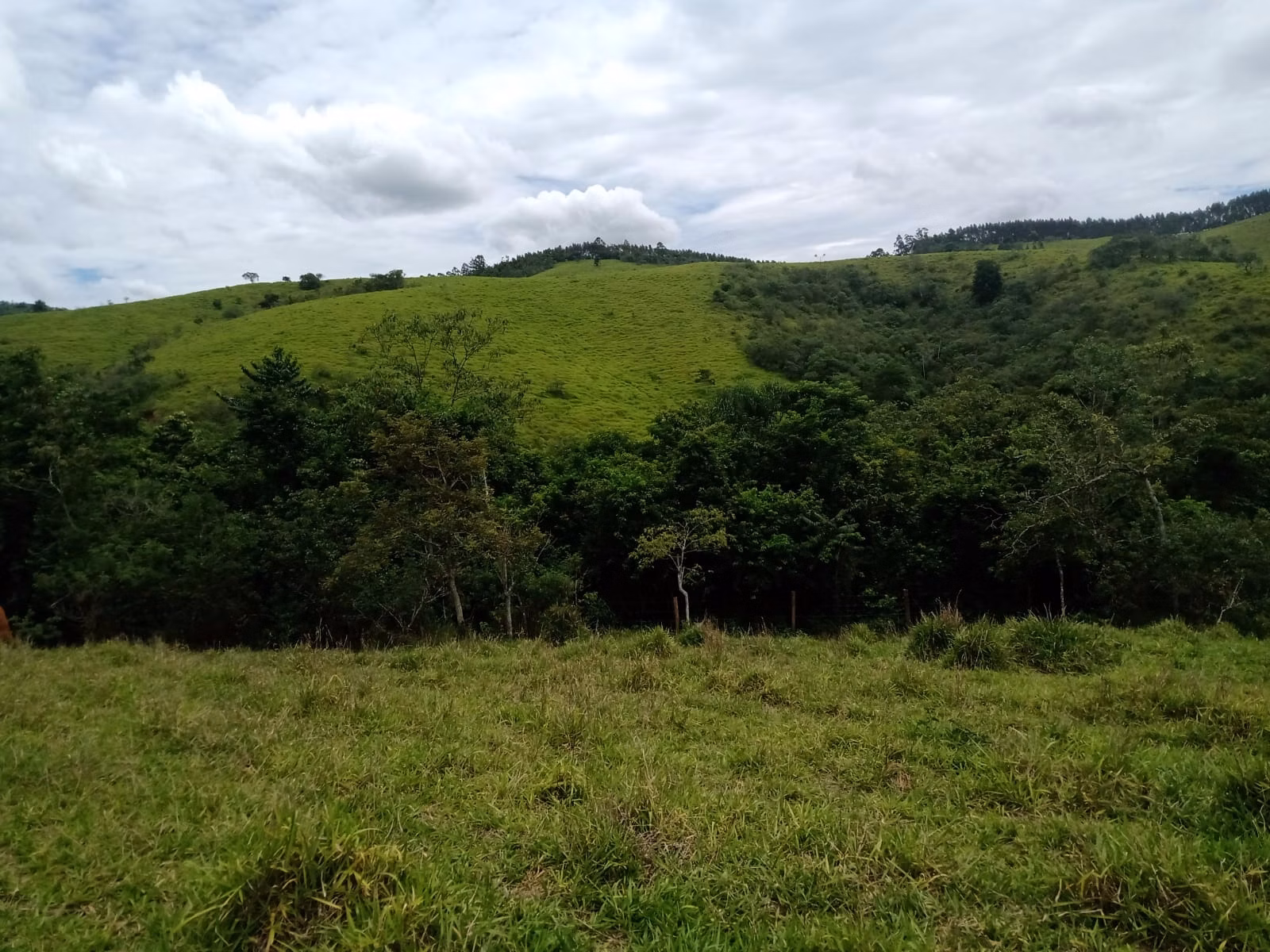 Fazenda de 486 ha em Taubaté, SP