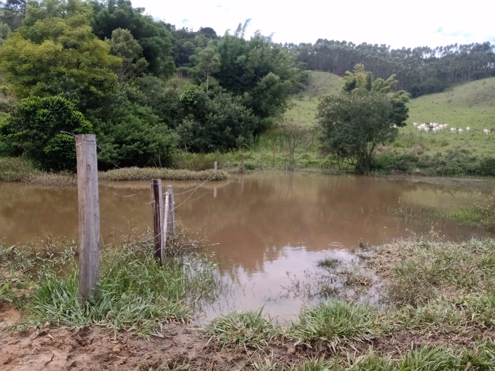 Fazenda de 486 ha em Taubaté, SP