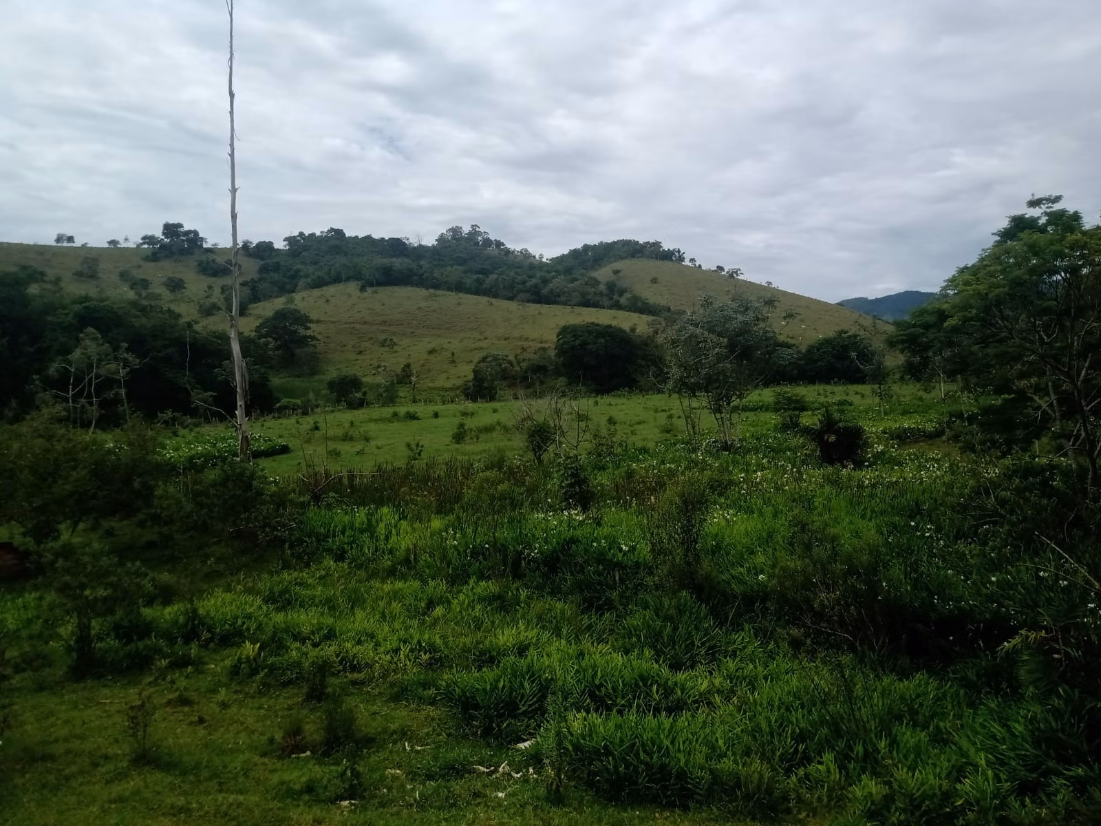 Fazenda de 486 ha em Taubaté, SP
