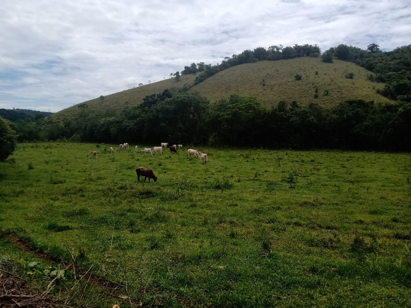 Farm of 1.202 acres in Taubaté, SP, Brazil