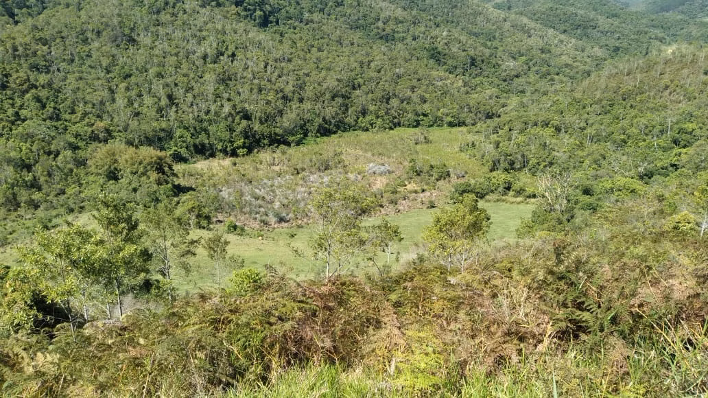 Fazenda de 123 ha em São Luiz do Paraitinga, SP