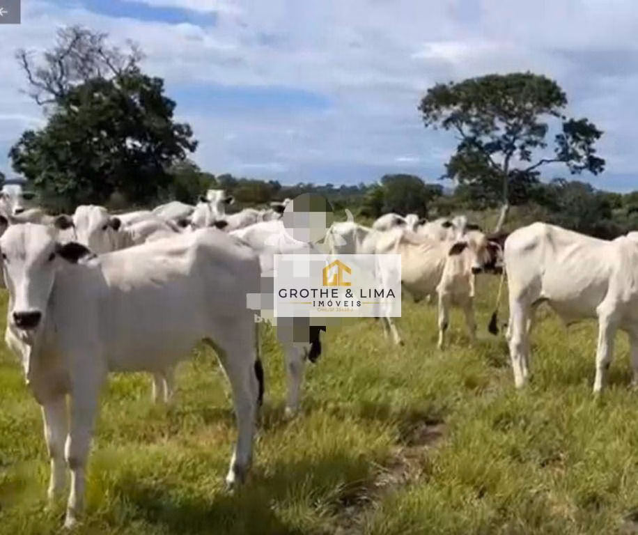 Fazenda de 2.725 ha em Monte Alegre de Goiás, GO