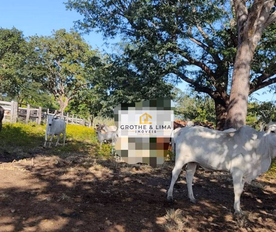 Fazenda de 2.725 ha em Monte Alegre de Goiás, GO
