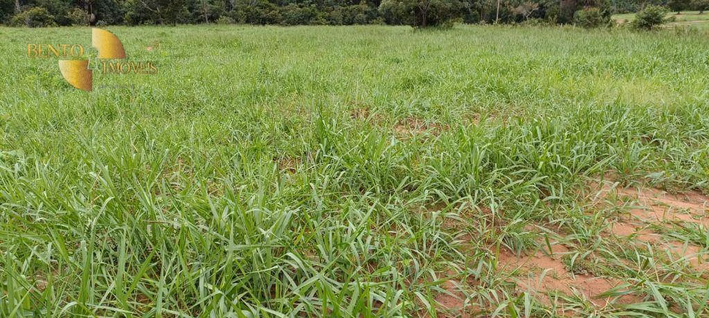 Fazenda de 900 ha em Guiratinga, MT