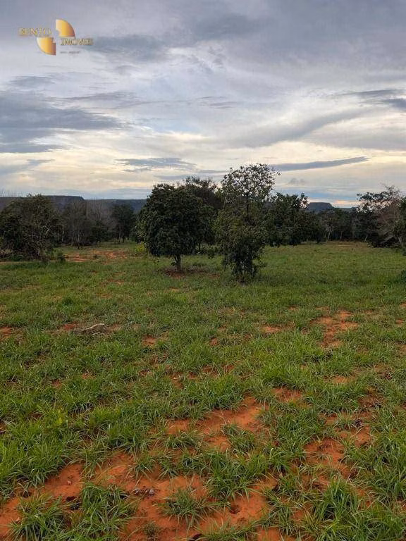 Fazenda de 900 ha em Guiratinga, MT