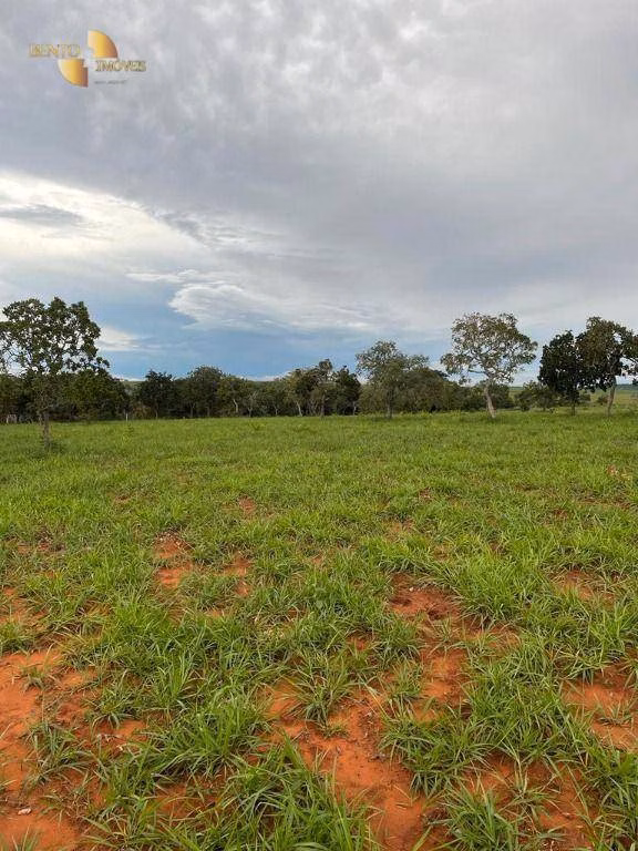 Fazenda de 900 ha em Guiratinga, MT