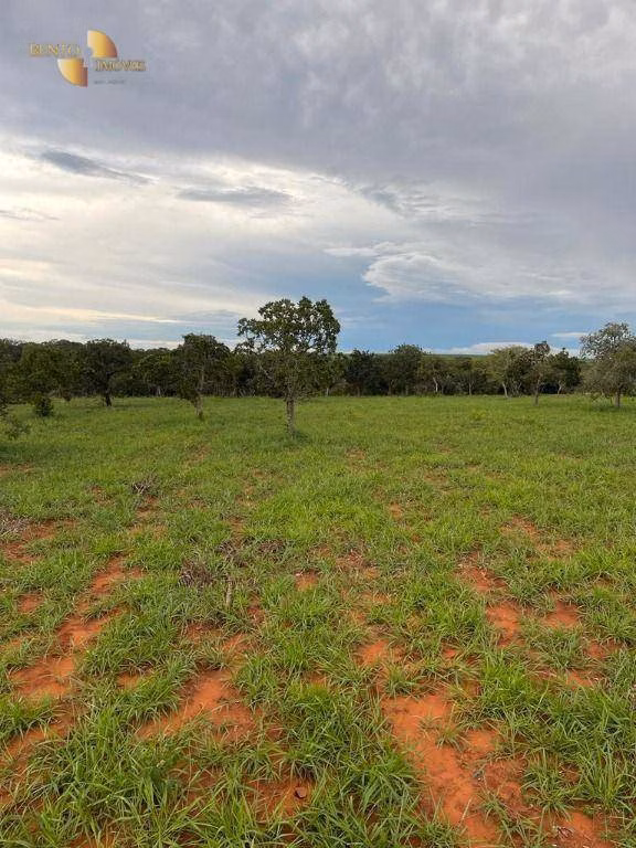 Fazenda de 900 ha em Guiratinga, MT