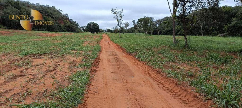 Fazenda de 900 ha em Guiratinga, MT