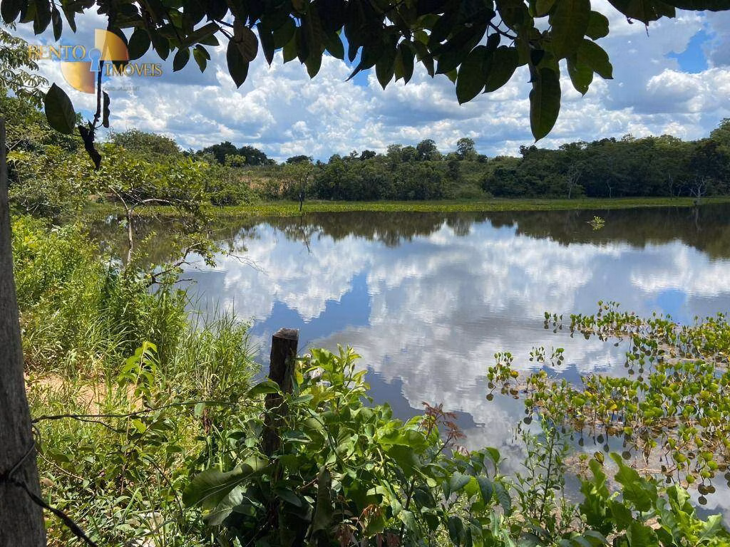 Fazenda de 2.200 ha em Jangada, MT
