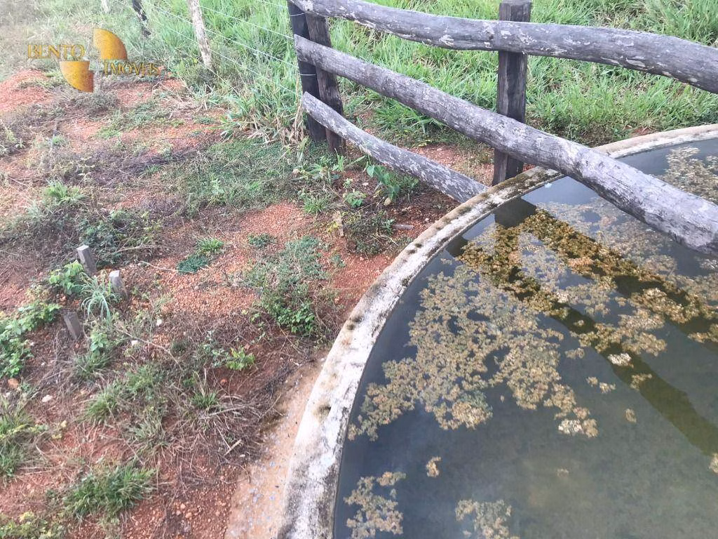 Fazenda de 170 ha em Nossa Senhora do Livramento, MT