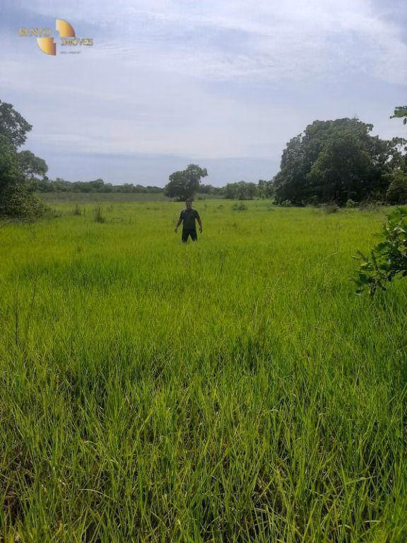 Fazenda de 550 ha em Rosário Oeste, MT