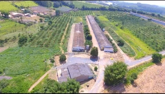 Small farm of 42 acres in Pilar do Sul, SP, Brazil