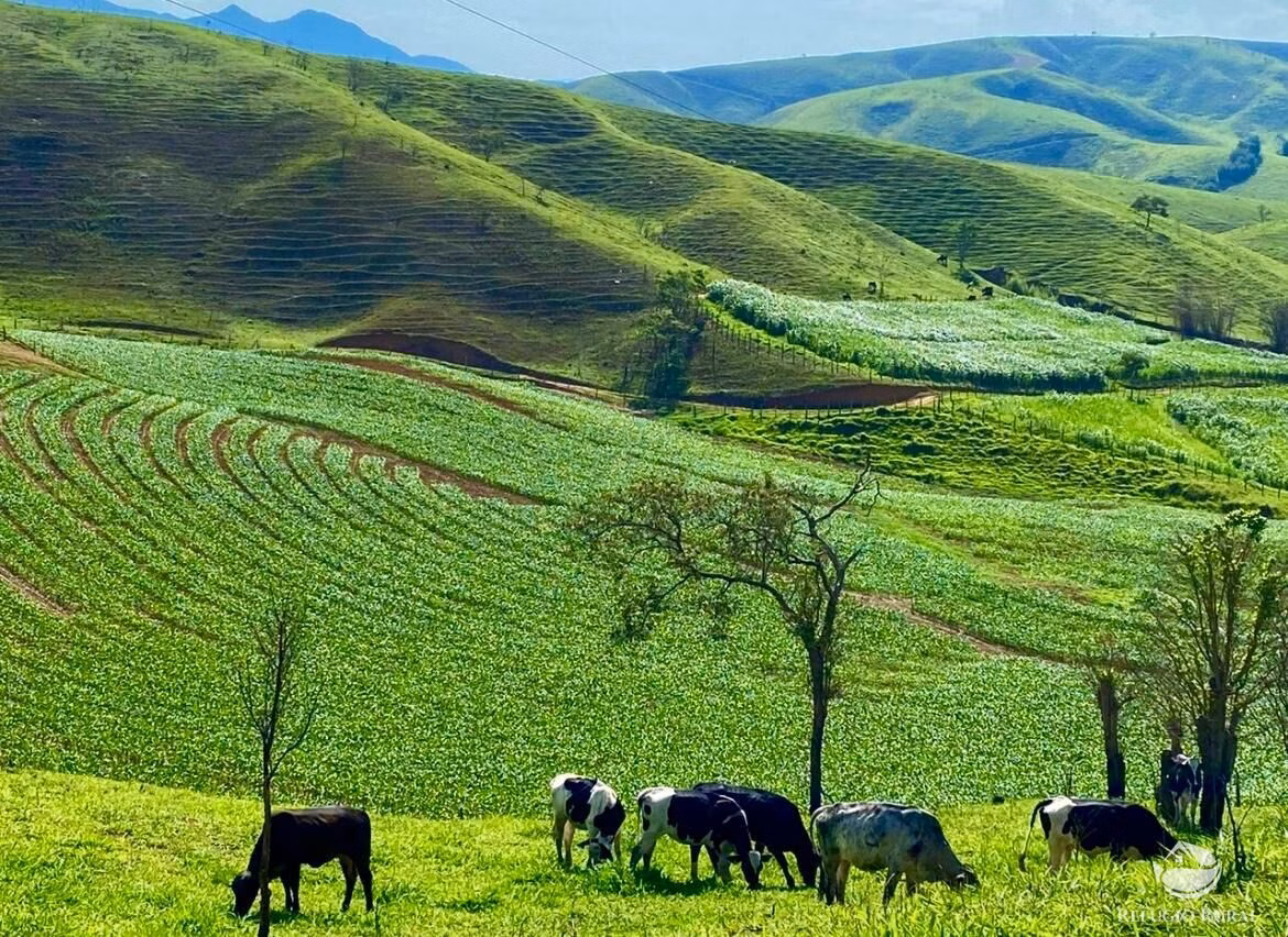 Fazenda à venda de 92 ha em São José do Barreiro, SP