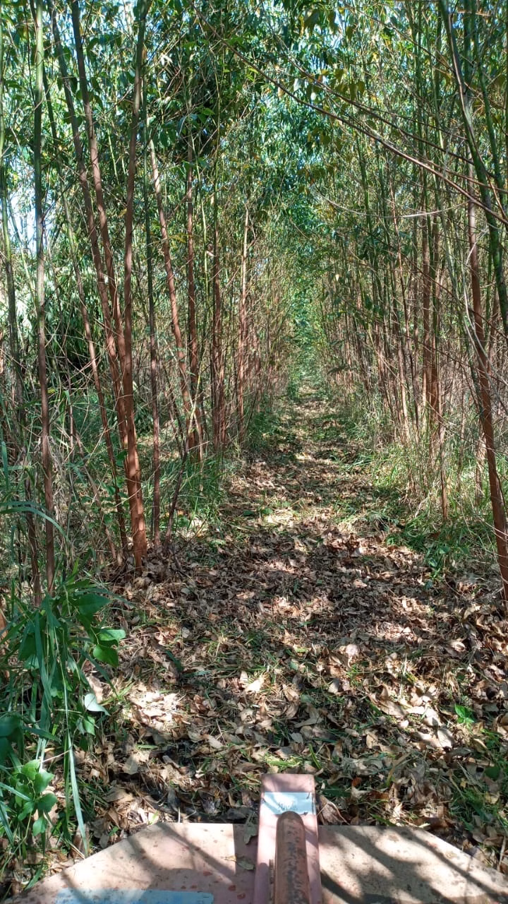 Chácara de 4 ha em São Miguel Arcanjo, SP