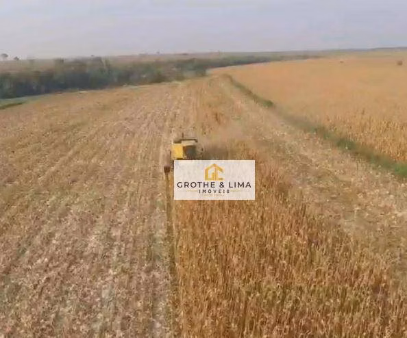 Fazenda de 267 ha em Nova Alvorada do Sul, MS