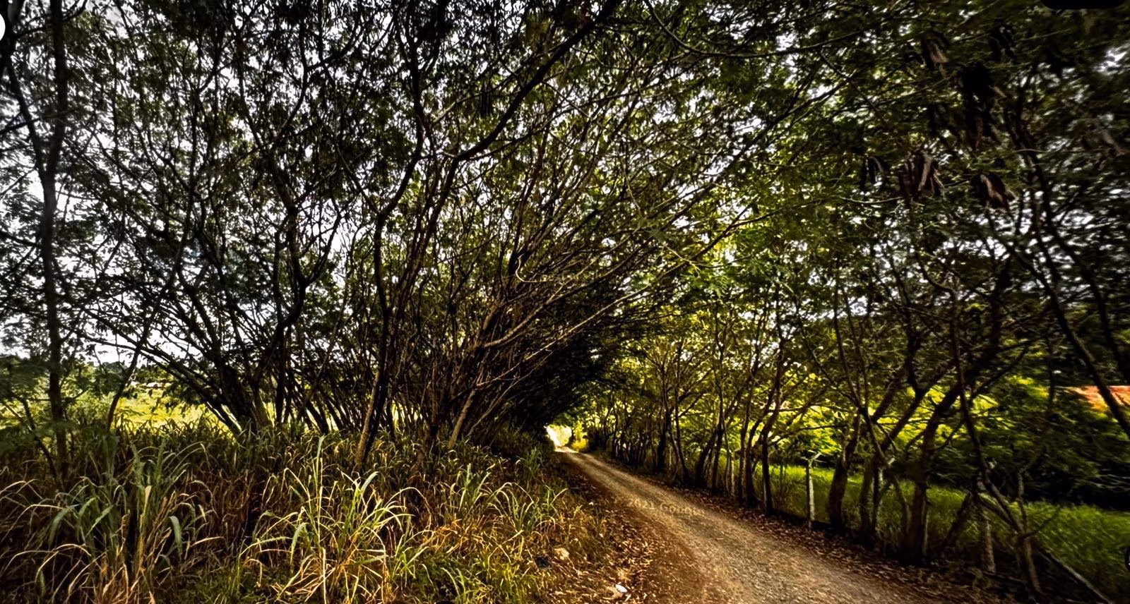 Haras de 2 ha em Indaiatuba, SP