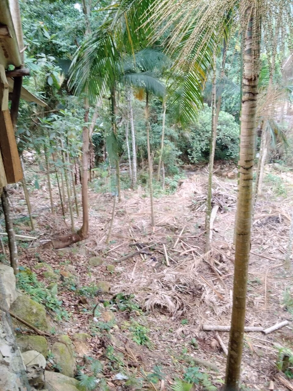 Farm of 2,400 m² in Nova Trento, SC, Brazil