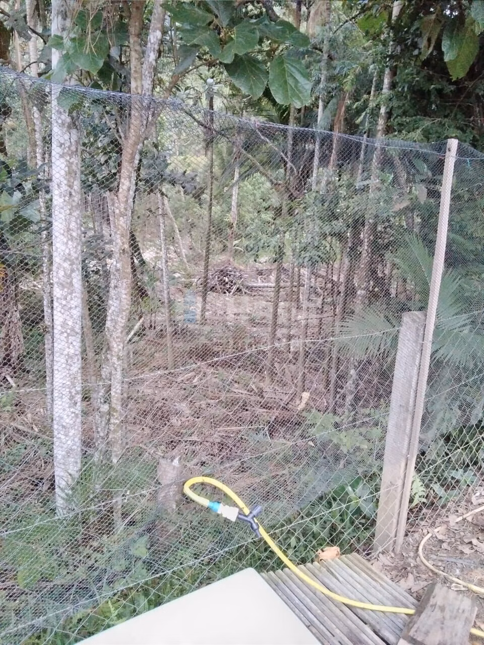 Farm of 2,400 m² in Nova Trento, SC, Brazil