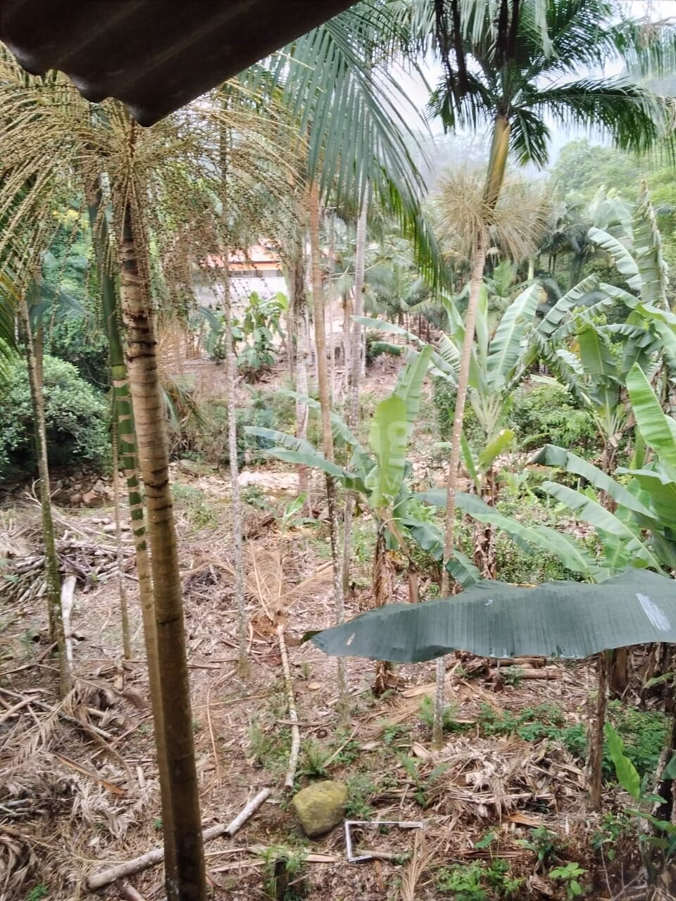 Farm of 2,400 m² in Nova Trento, SC, Brazil