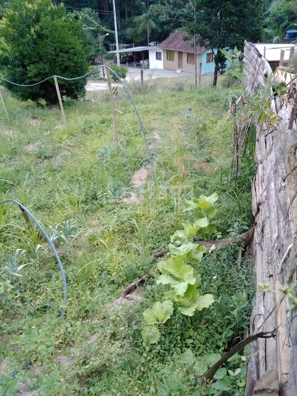 Fazenda de 2.400 m² em Nova Trento, SC
