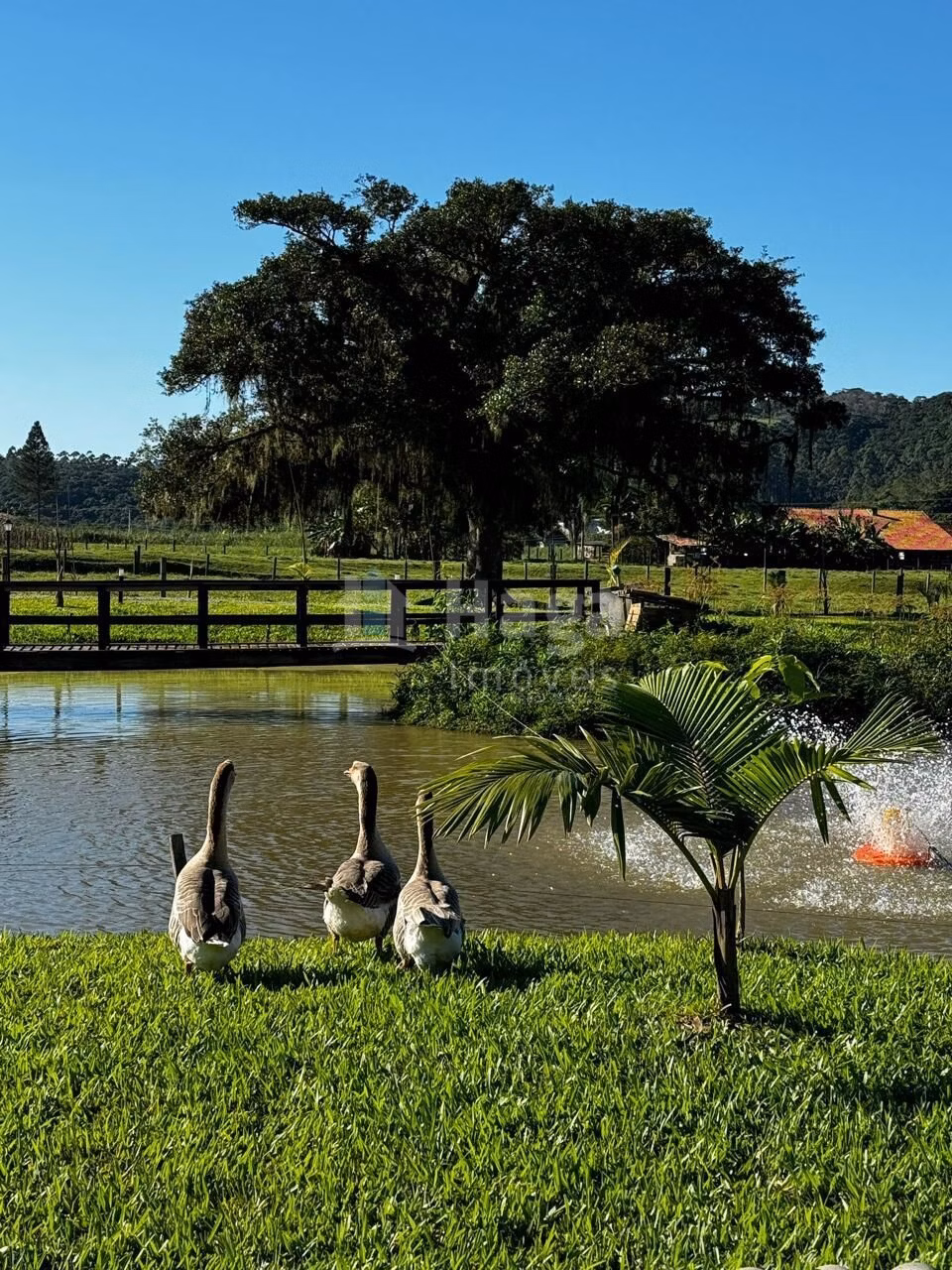 Country home of 1 acres in Tijucas, SC, Brazil