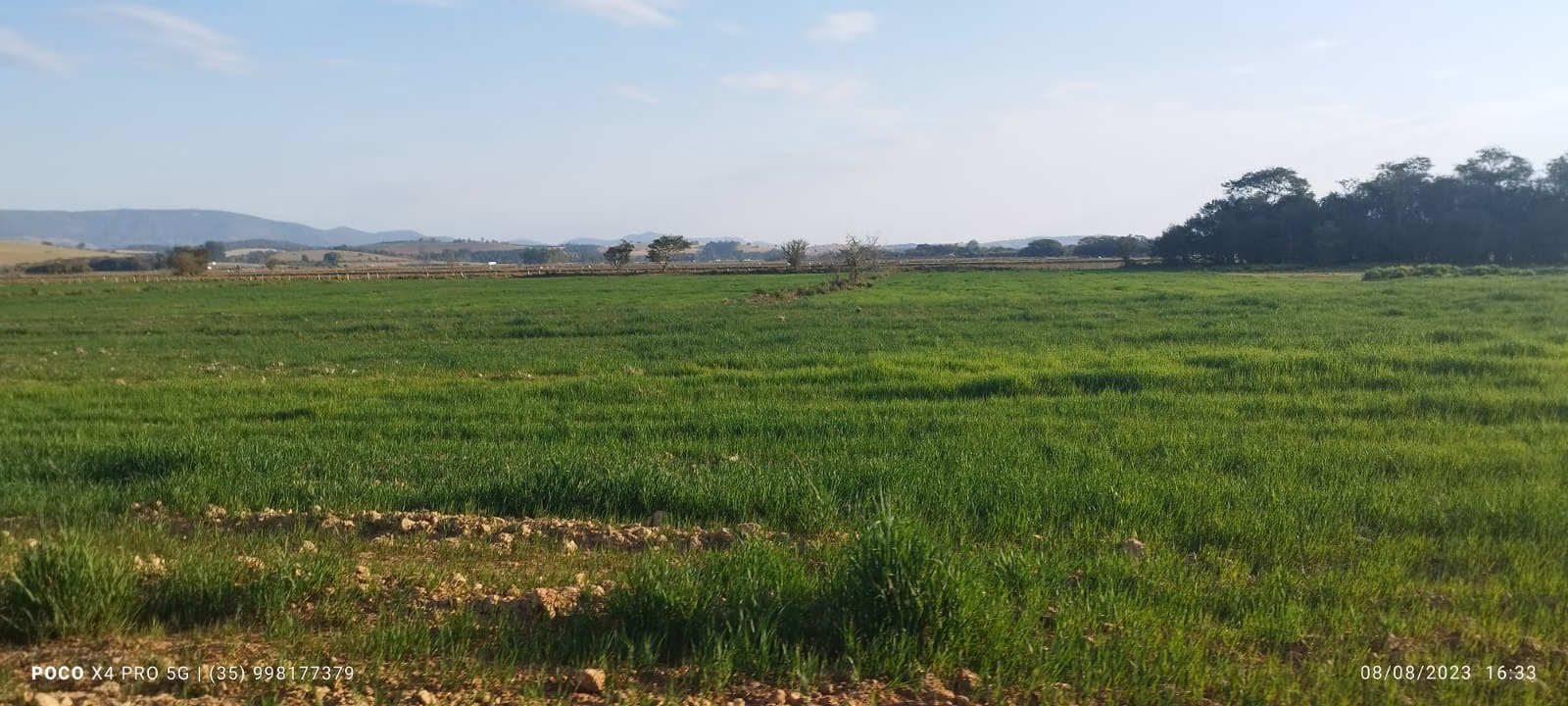 Farm of 427 acres in Pouso Alegre, MG, Brazil
