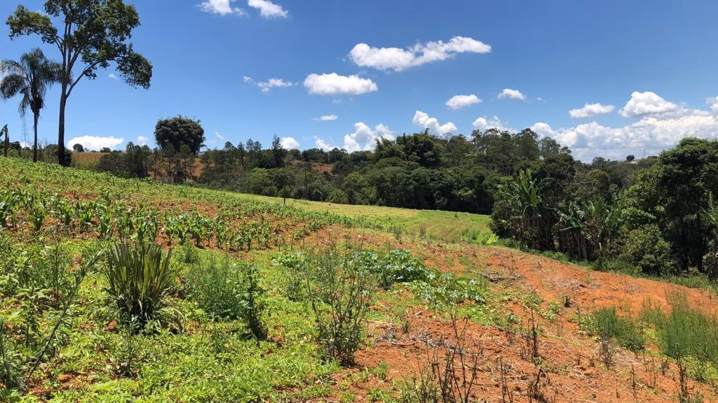 Terreno de 2 ha em Pouso Alegre, MG