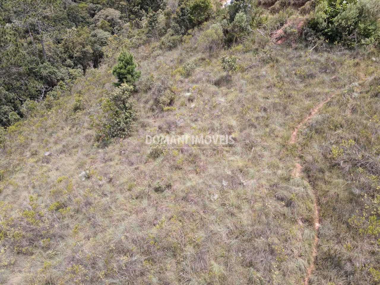 Terreno de 2.065 m² em Campos do Jordão, SP