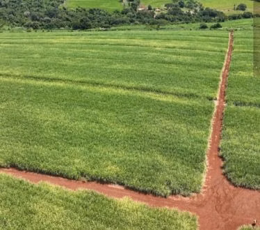 Farm of 1.196 acres in São Carlos, SP, Brazil