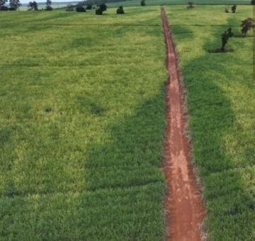 Fazenda de 484 ha em São Carlos, SP