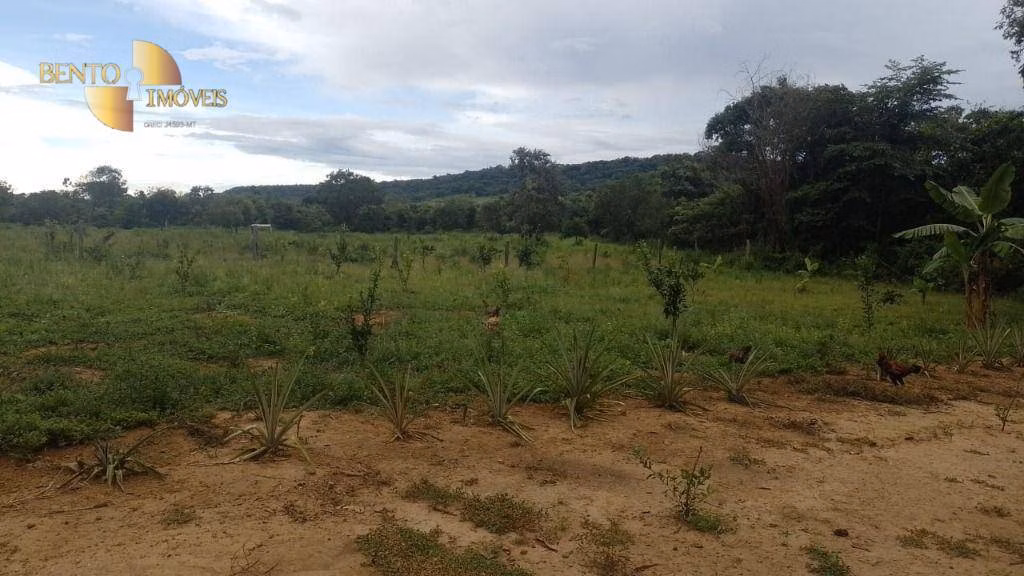 Fazenda de 401 ha em Paranatinga, MT