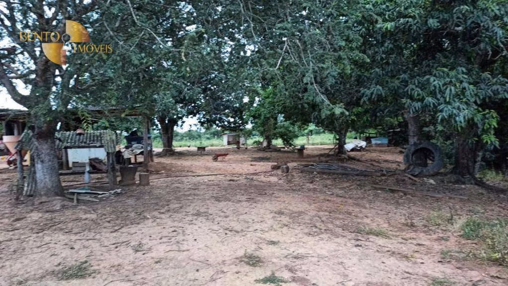 Fazenda de 401 ha em Paranatinga, MT