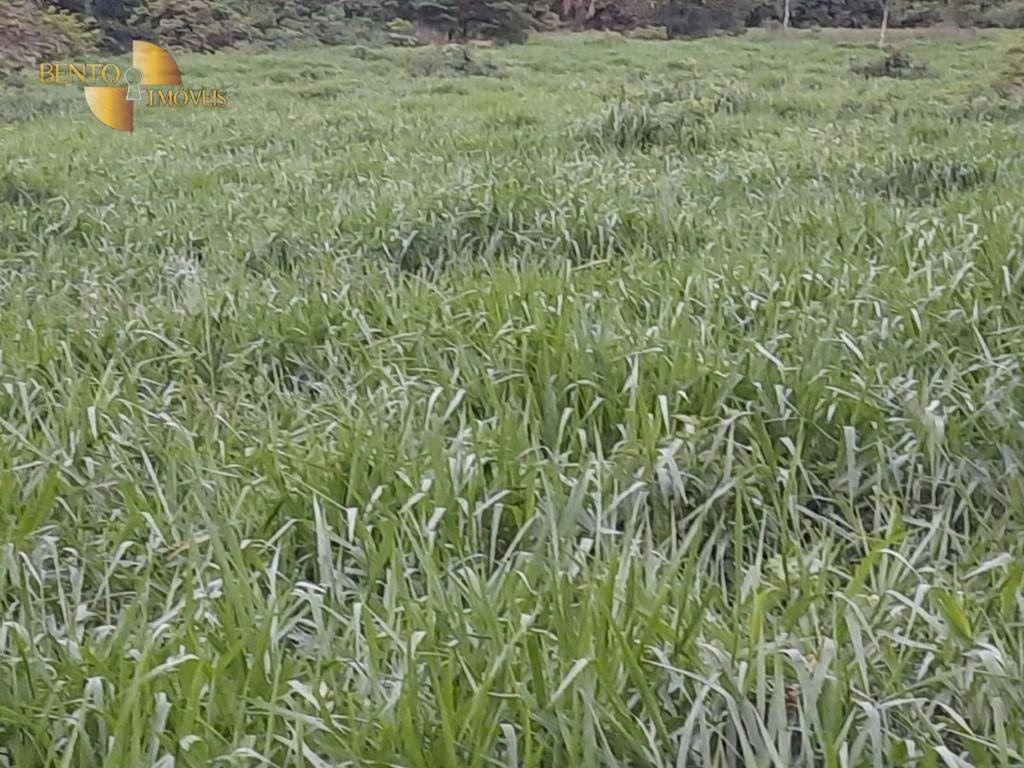 Fazenda de 401 ha em Paranatinga, MT