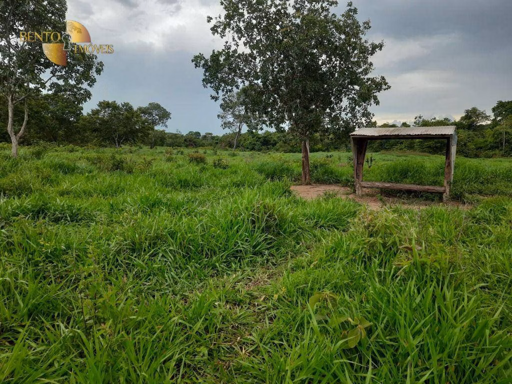 Fazenda de 401 ha em Paranatinga, MT