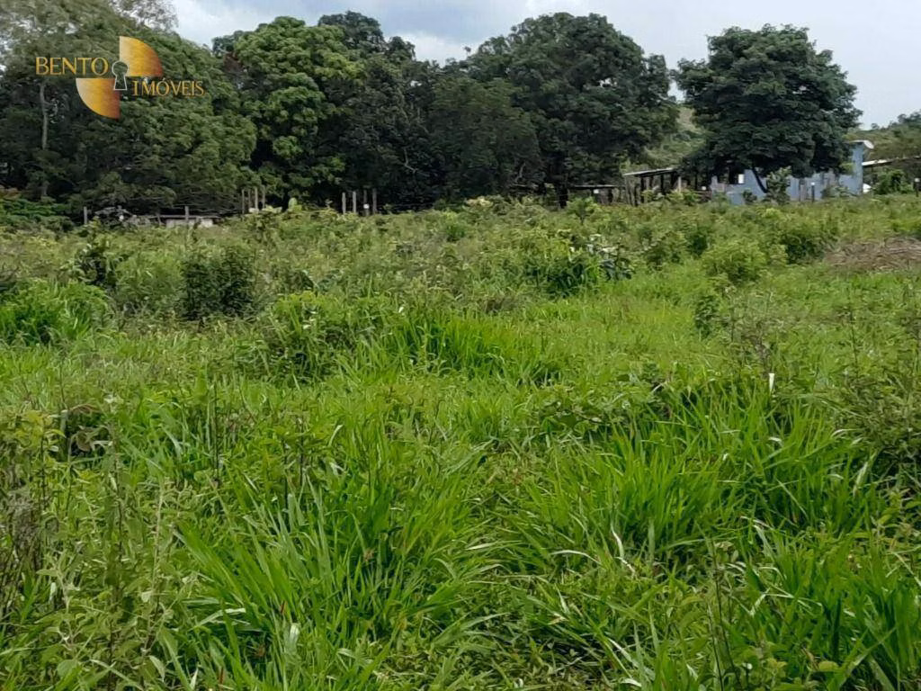 Fazenda de 401 ha em Paranatinga, MT