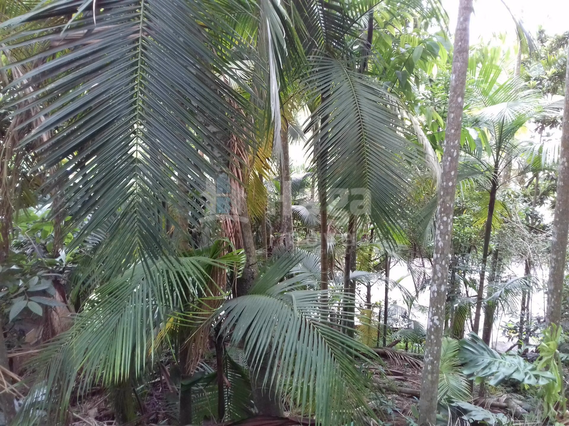 House of 692 m² in Brusque, SC, Brazil